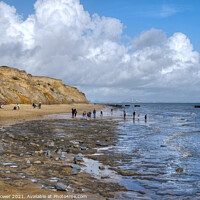Buy canvas prints of Fossil hunting at the Naze by Diana Mower