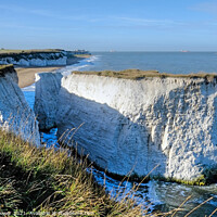 Buy canvas prints of Botany Bay Kent by Diana Mower