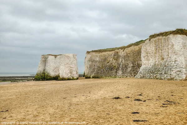 Botany Bay Beach Picture Board by Diana Mower