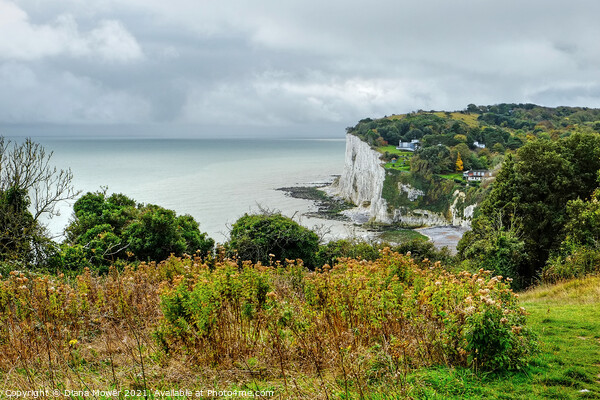 St Margarets Bay from the cliffs Picture Board by Diana Mower
