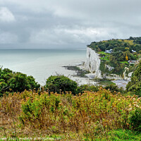 Buy canvas prints of St Margarets Bay from the cliffs by Diana Mower