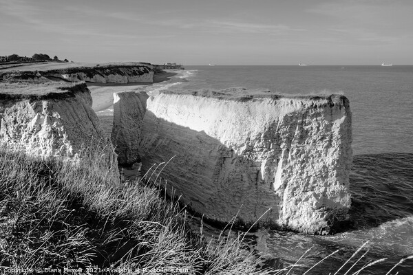 Botany Bay Chalk Sea Stacks Picture Board by Diana Mower