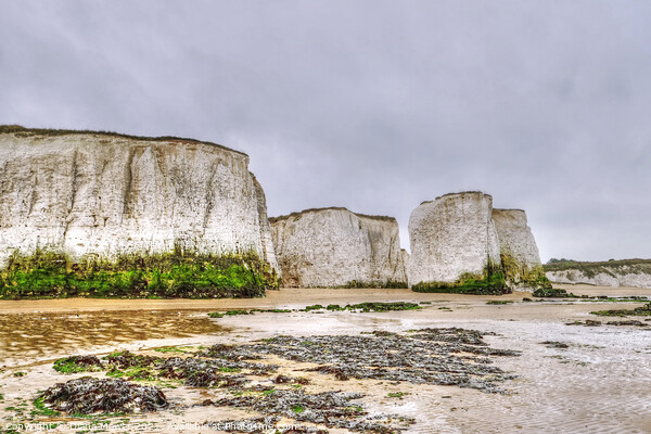 Botany Bay at Low tide Picture Board by Diana Mower