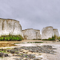 Buy canvas prints of Botany Bay at Low tide by Diana Mower