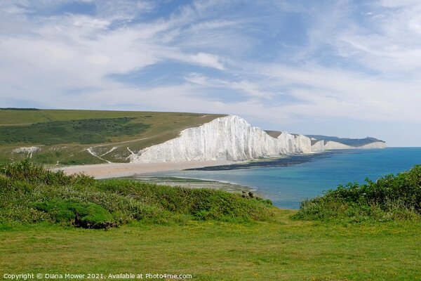 The Seven Sisters Chalk cliffs  Sussex  Picture Board by Diana Mower
