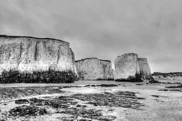 Botany Bay Monochrome Picture Board by Diana Mower