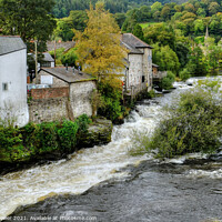 Buy canvas prints of Llangollen Riverside Wales by Diana Mower