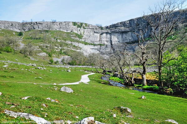  Malham Cove A landscape view Picture Board by Diana Mower