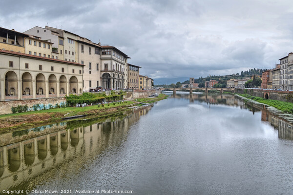 River Arno Florence View Picture Board by Diana Mower