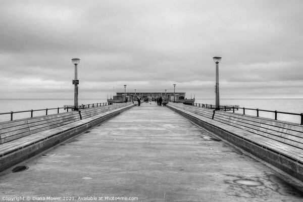 Deal Pier Black and white Picture Board by Diana Mower