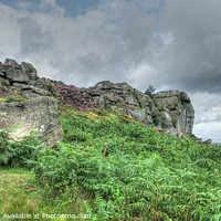 Buy canvas prints of Cow and Calf Ilkley Moor by Diana Mower