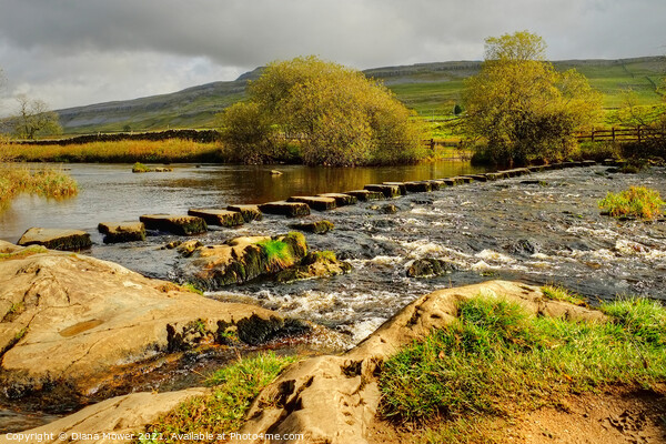 River Doe Stepping stones in the Dales Picture Board by Diana Mower