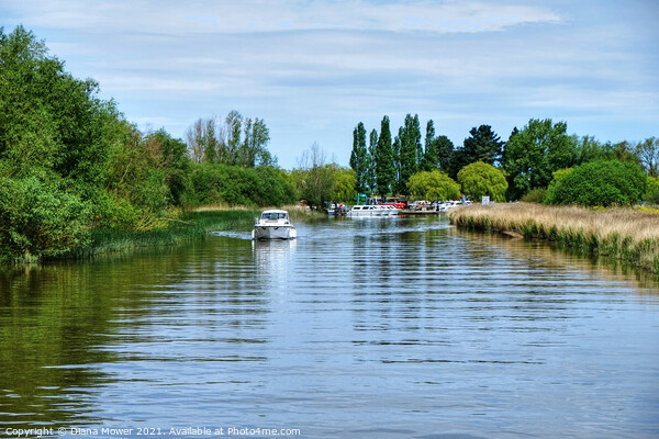 River Waveney Boating Picture Board by Diana Mower