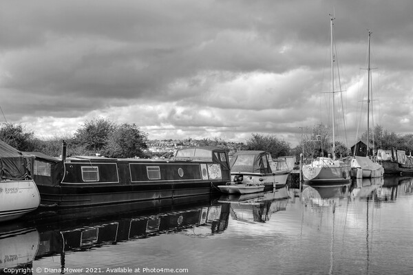 Heybridge Canal Monochrome Picture Board by Diana Mower