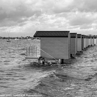 Buy canvas prints of Breezy Osea View Mono  by Diana Mower
