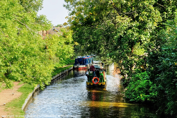 Penkridge Canal Narrowboats Picture Board by Diana Mower