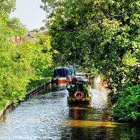 Buy canvas prints of Penkridge Canal Narrowboats by Diana Mower