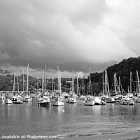 Buy canvas prints of Ilfracombe harbour Panoramic mono by Diana Mower