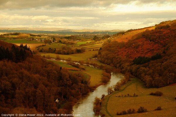 The river Wye from the rock Picture Board by Diana Mower