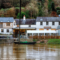 Buy canvas prints of Symonds Yat East foot ferry by Diana Mower