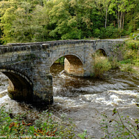 Buy canvas prints of Pont Cysyllte  Wales by Diana Mower