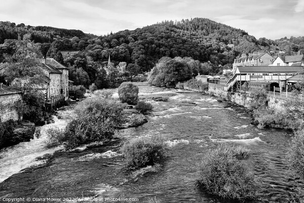 The River at Llangollen Monochrome Picture Board by Diana Mower