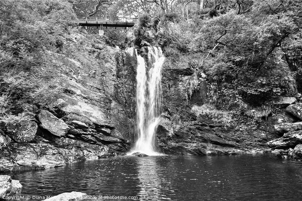 Inversnaid Falls monochrome Picture Board by Diana Mower