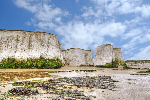 Botany Bay chalk stacks and beach Picture Board by Diana Mower