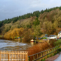 Buy canvas prints of Symonds Yat panoramic view by Diana Mower