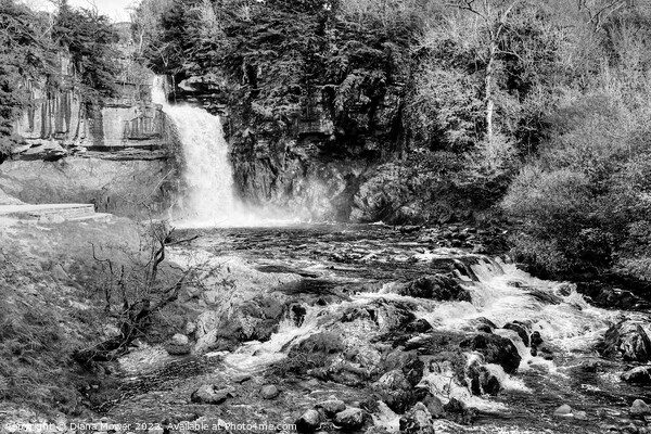 Thornton Force monochrome Picture Board by Diana Mower