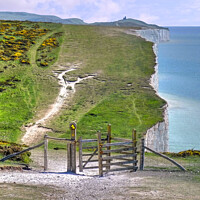Buy canvas prints of Seven Sisters Cliff Walk by Diana Mower
