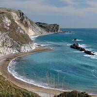 Buy canvas prints of The Beach Man O' War Bay Dorset by Diana Mower