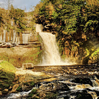 Buy canvas prints of Thornton Force  by Diana Mower