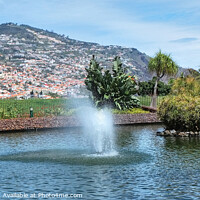 Buy canvas prints of Funchal Madeira Park Panoramic by Diana Mower