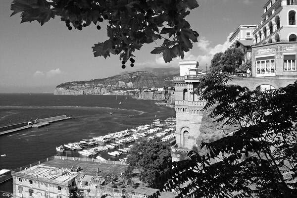 The Port of Sorrento Bay of Naples Picture Board by Diana Mower