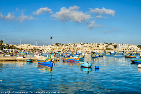 Marsaxlokk traditional boats Malta Picture Board by Diana Mower