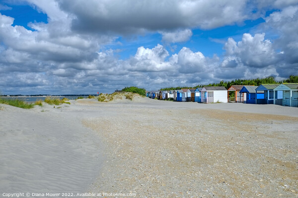 West Wittering beach  Picture Board by Diana Mower