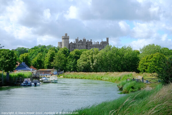 Arundel River Arun and Castle View Picture Board by Diana Mower
