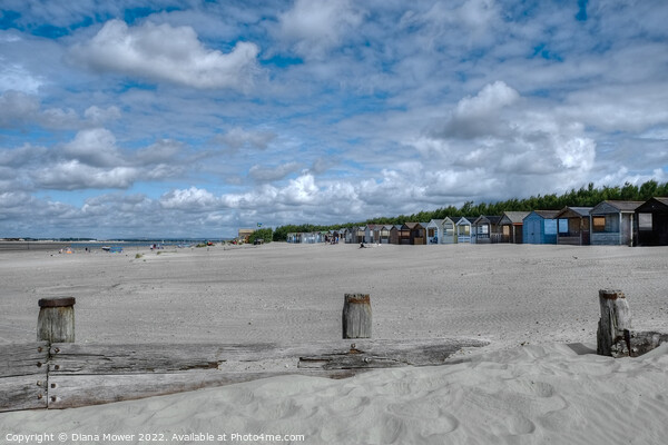 West Wittering Sandy Beach  Picture Board by Diana Mower