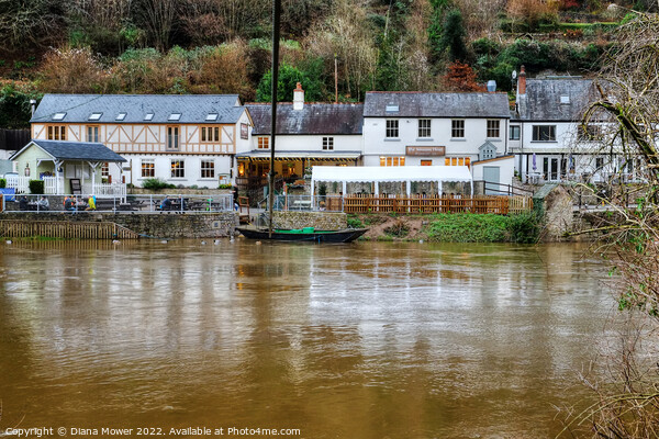 Symonds Yat and Saracens Head Picture Board by Diana Mower