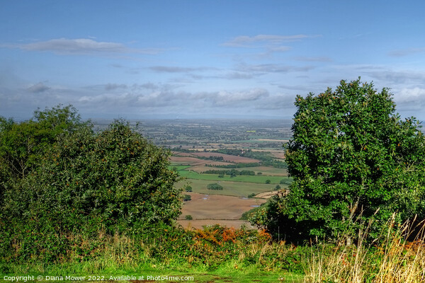 A view from the Wrekin  Shropshire Picture Board by Diana Mower