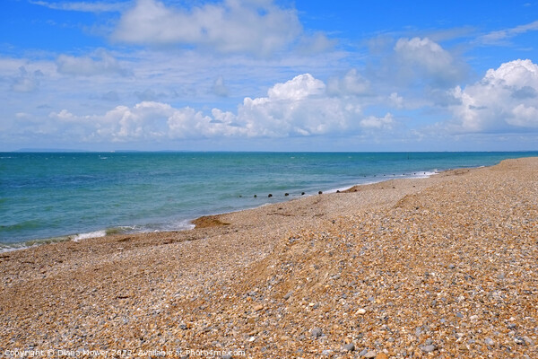Selsey Bill Beach  Picture Board by Diana Mower