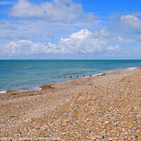 Buy canvas prints of Selsey Bill Beach  by Diana Mower