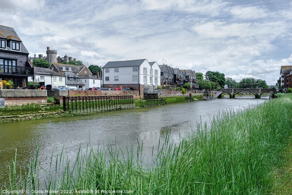 Alongside the river Arun at Arundel,West Sussex. Picture Board by Diana Mower