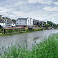 Buy canvas prints of Alongside the river Arun at Arundel,West Sussex. by Diana Mower
