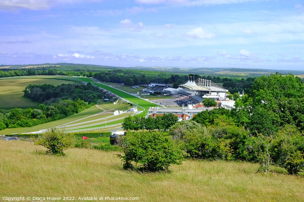 Goodwood from The Trundle Picture Board by Diana Mower
