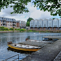 Buy canvas prints of Chichester Canal Basin by Diana Mower