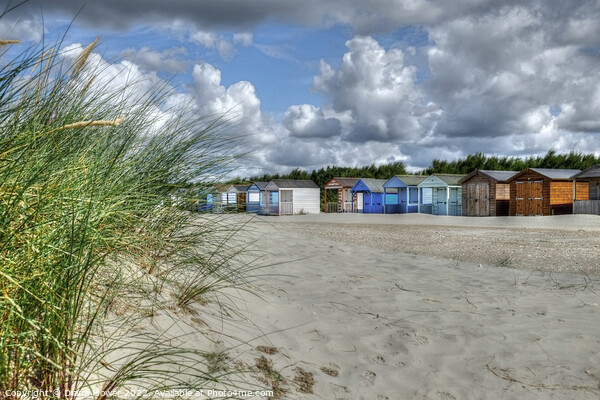 West Wittering beach Huts and Dunes  Picture Board by Diana Mower