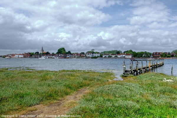 Bosham Quay West Sussex Picture Board by Diana Mower