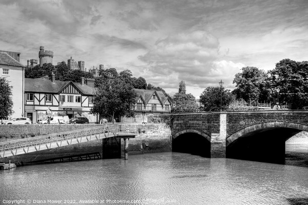  Arundel,bridge and castle monochrome Picture Board by Diana Mower